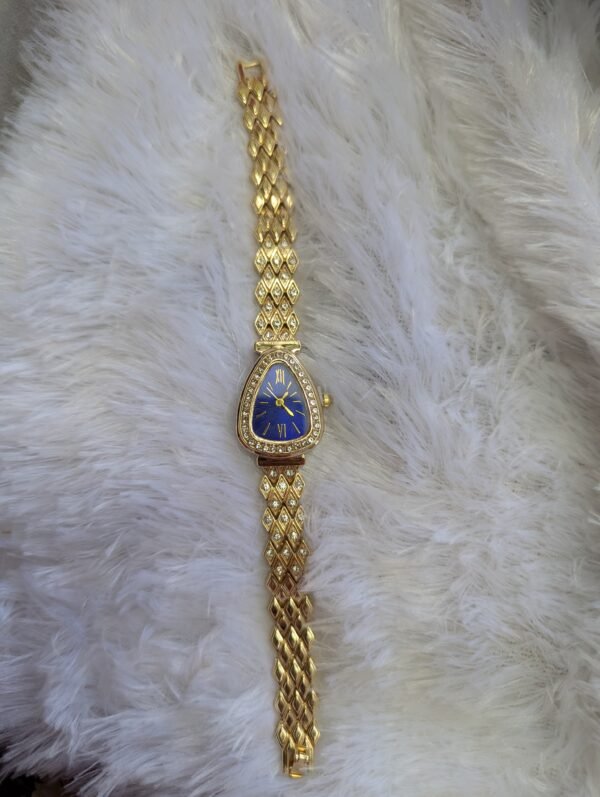 Antitarnish watch