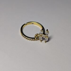Adjustable ring with link