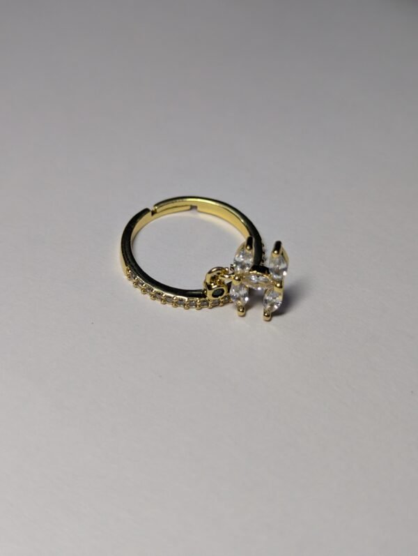 Adjustable ring with link