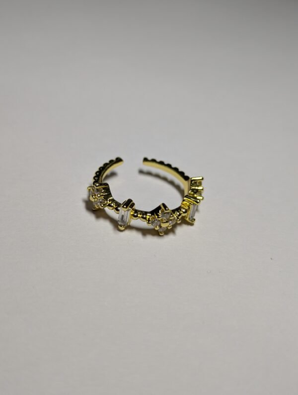 PXL_20260919_181506960 adjustable rings