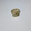 rotating adjustable ring