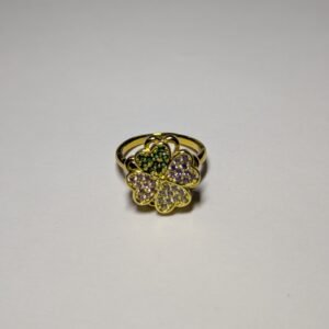 rotating adjustable ring