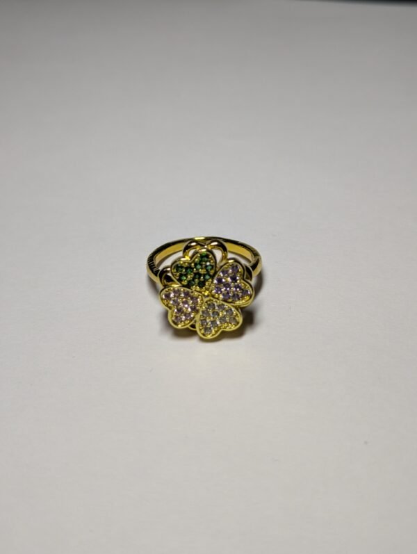 rotating adjustable ring