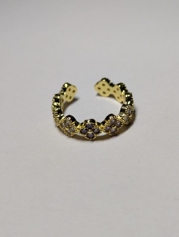 Adjustable purple ring