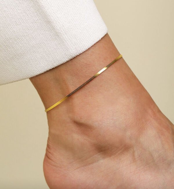 thin chain anklet pair